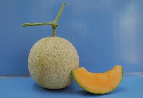 メロン様 ベルファームつくば ＞ 搾りたて メロンジュース 100% 100g × 15パック